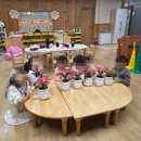 명석유치원 이미지