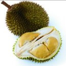 스쿠바민박 이미지