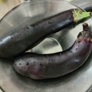 야채아저씨 | 농라에프 나도 CREATOR - 야채아저씨 '가지' 구매 후기