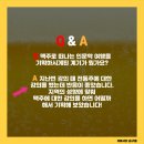 [서포터즈N버서더1기] 솜구름_ 『맥주로 떠나는 인문학 여행』 방문 후기