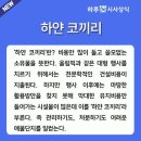 `하얀 코끼리`에 짓눌린 강원…"8600억쓰고 일회용시설 만든 격" 이미지