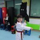 MTA 블랙벨트 태권도장 이미지