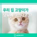 형곡동물병원 이미지
