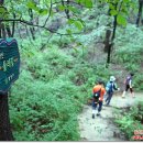 [중랑구 봉화산역] 한동길감자탕 본점 - 감자탕 (봉화산둘길, 불암산 숲길과 연계) 이미지