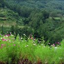 바람과 여울