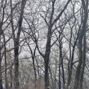 신송약수터 이미지