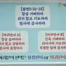 에셀목장 네이버블로그