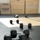 크로스핏 루스터 | 청주 크로스핏 루스터 트레이닝, 하이록스로 체력도 자신감도 업