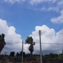 꿈in게스트하우스 이미지