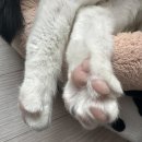 두리세탁 이미지