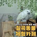 칠곡동물체험카페 이미지