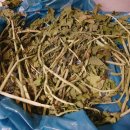 대해웰빙마트 이미지