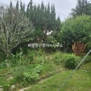 선유리공인중개사사무소 이미지