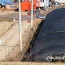 복룡농장 이미지