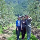 동무농장 이미지