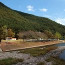 봉황대운동장 이미지