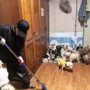 소극장 공유 (구.키작은 소나무) Daum카페