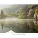 세량제 이미지
