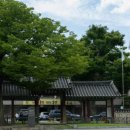 주정차8 이미지