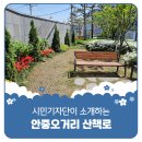 양미정 | 평택시민기자단 | 안중읍의 숨겨진 힐링 스폿! 안중오거리 산책로를 걸어보세요