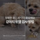 심동물병원 이미지