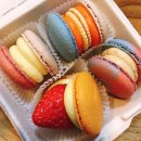 연세비엠정형외과의원 이미지