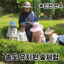 꽃숲유치원 | 송도 유치원 숲체험 해누리공원