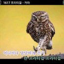 눈다리 노래방 조선일보
