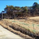 민가농장 이미지