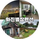 별장펜션 | [포항] 애견동반펜션 ‘화진별장펜션’ 만족 이용후기_내돈내산