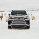 네바퀴 카서비스 이미지