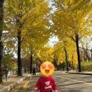 (주)코리아세븐 보문점 | 경주에서 애들이랑 오리배(보문단지 보문호수 백조전동보트)