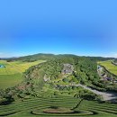 보성녹차닷컴 이미지