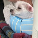 범수네농장 | 화상주의 보라카이 여행(1)