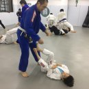 라이프짐MMA 이미지