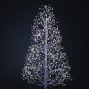 빛-자작나무 | 자작나무 트리 인테리어 후기｜크리스마스 지나도 켜두는 조명