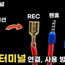 Mr.아재