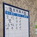 석동자연오리 이미지