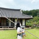 2021.8월 스카이와 함께 한 첫 휴가 :) - 전통 한옥 다향소축민박