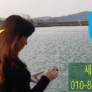 정관장강서점