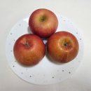 빽다방군포당정역은하점 | *[2026년] 3/15~3/31 일상