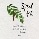 캘리그라피(주간) 네이버블로그