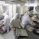 래그랜느보호작업장 이미지