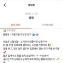 우쭈쭈플렉스 강아지 유치원 호텔 네이버블로그