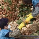 농수산물도매시장 관리사무소 이미지