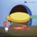 뭉망몽 | 나애 마음속 고향 대구 😍(처음 가봄 ㅋㅋ)