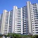 파랑새공인중개사사무소 이미지