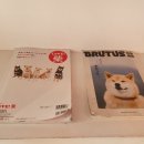 시바카레 이미지