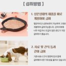 못나니 | [강아지 영양죽 추천 - 펫퍼스 애견비책 영양죽] 영양소가 듬뿍 들어있는 황태연어 영양죽 먹방 후기
