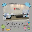 울산 동구 강남피부과 방문 후기 상담부터 시술 병원 정보까지 정리